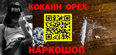 СК Гатчина