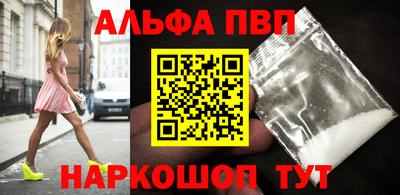 СК Гатчина