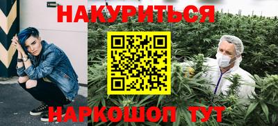 СК Гатчина