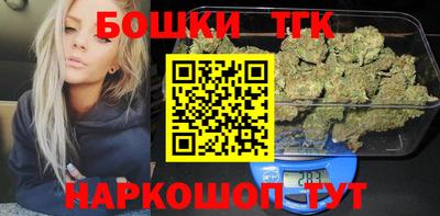 СК Гатчина