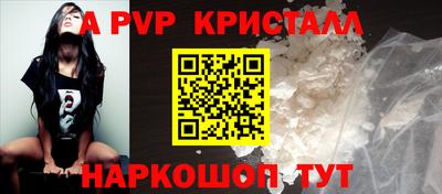 СК Гатчина