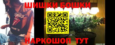 СК Гатчина