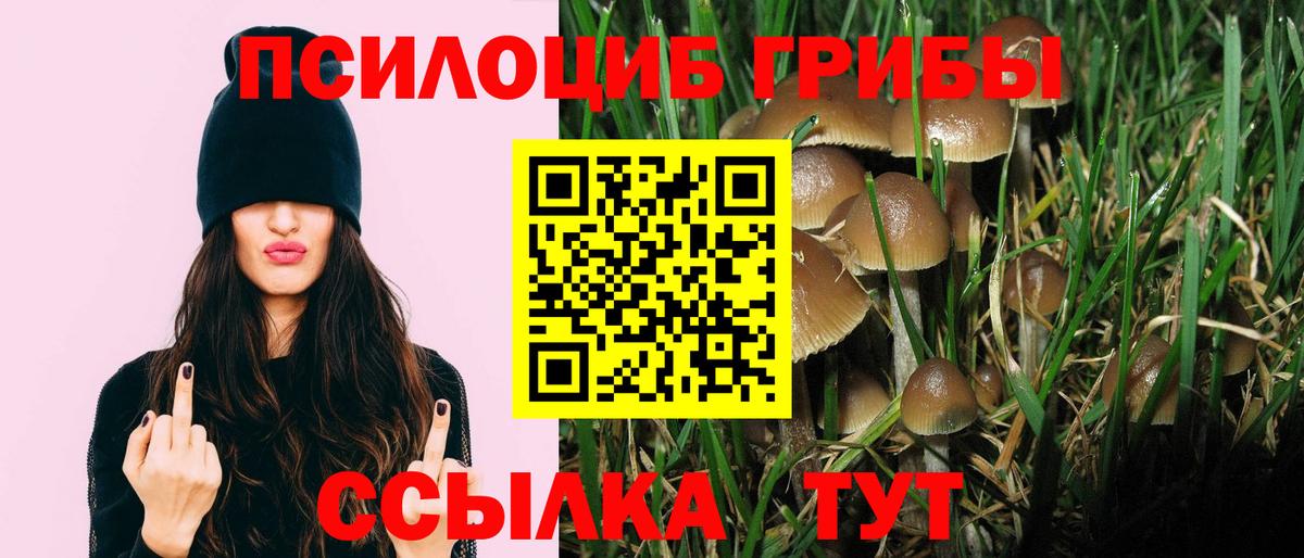 Галлюциногенные грибы GOLDEN TEACHER Мурманск