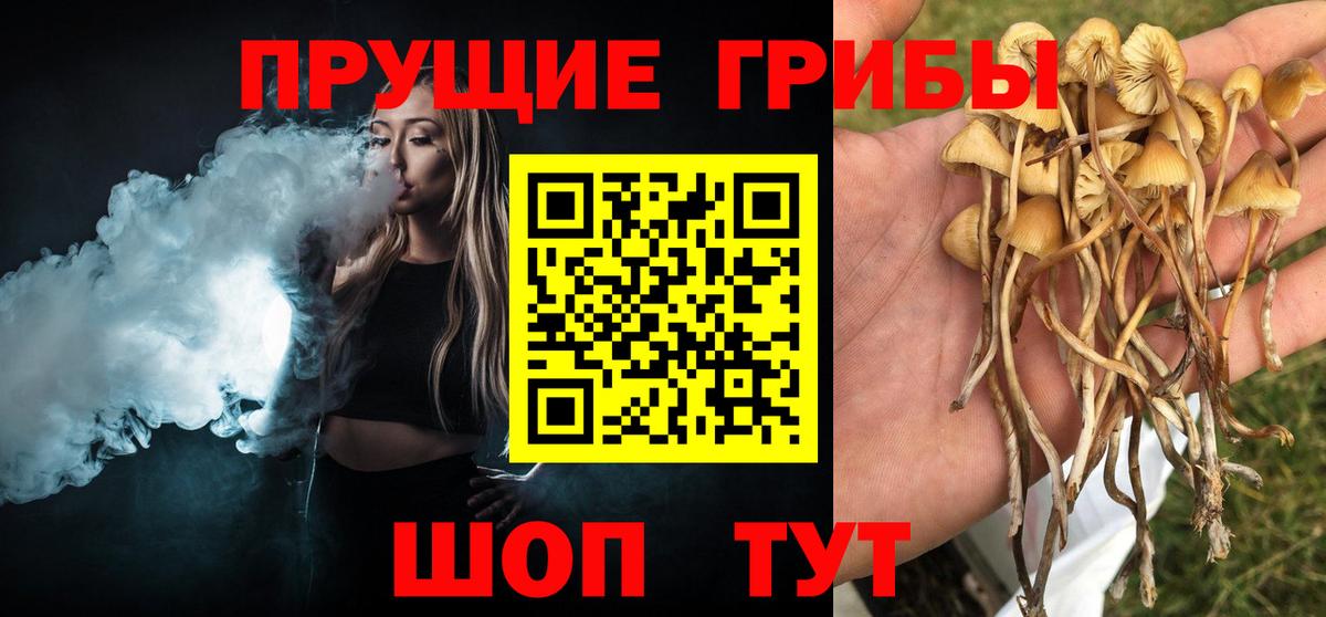 Псилоцибиновые грибы мухоморы  Галлюциногенные грибы Psilocybine cubensis  Вход с VPN  Мурманск 