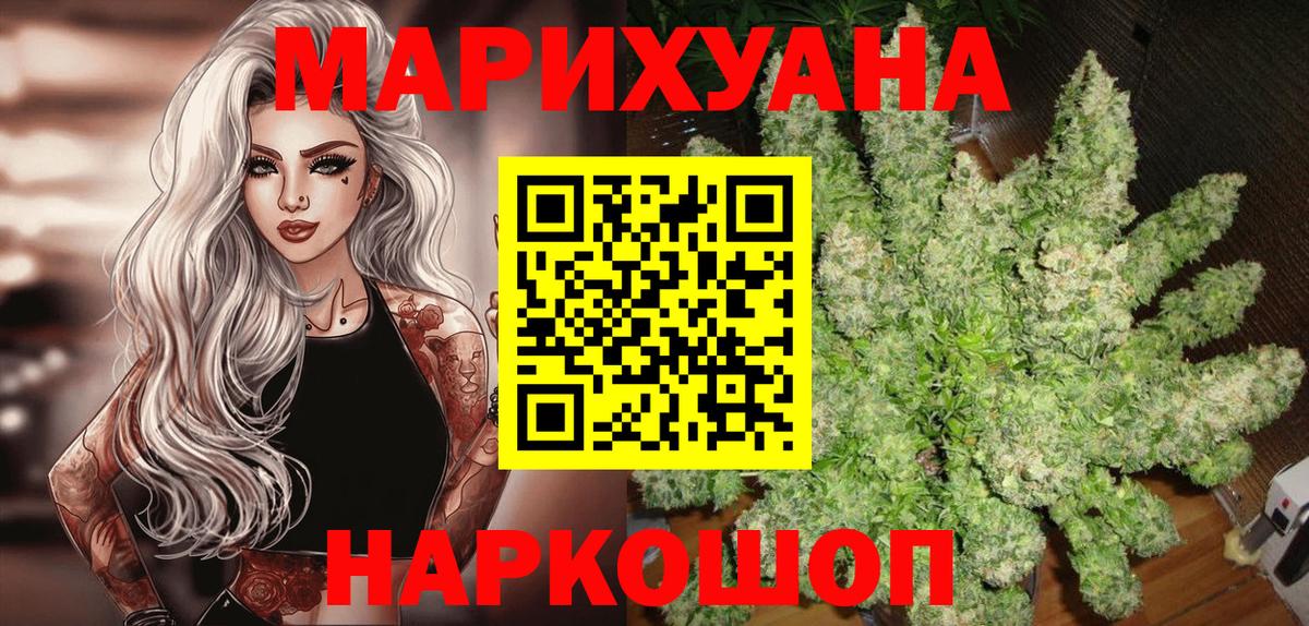 Альфа ПВП Мурманск