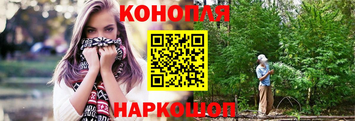 МАРИХУАНА сатива  Вход с VPN  Шишки марихуана THC 21%  Мурманск  Конопля план  Конопля White Widow 